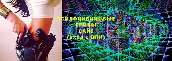 мдпв Тихвин