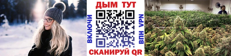 Бошки марихуана THC 21%  OMG зеркало  Фатеж  цены  